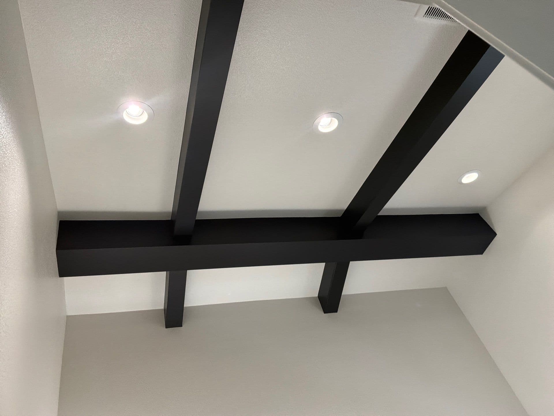 Modern Ceiling Beams Add Elegance to Denver Homes image