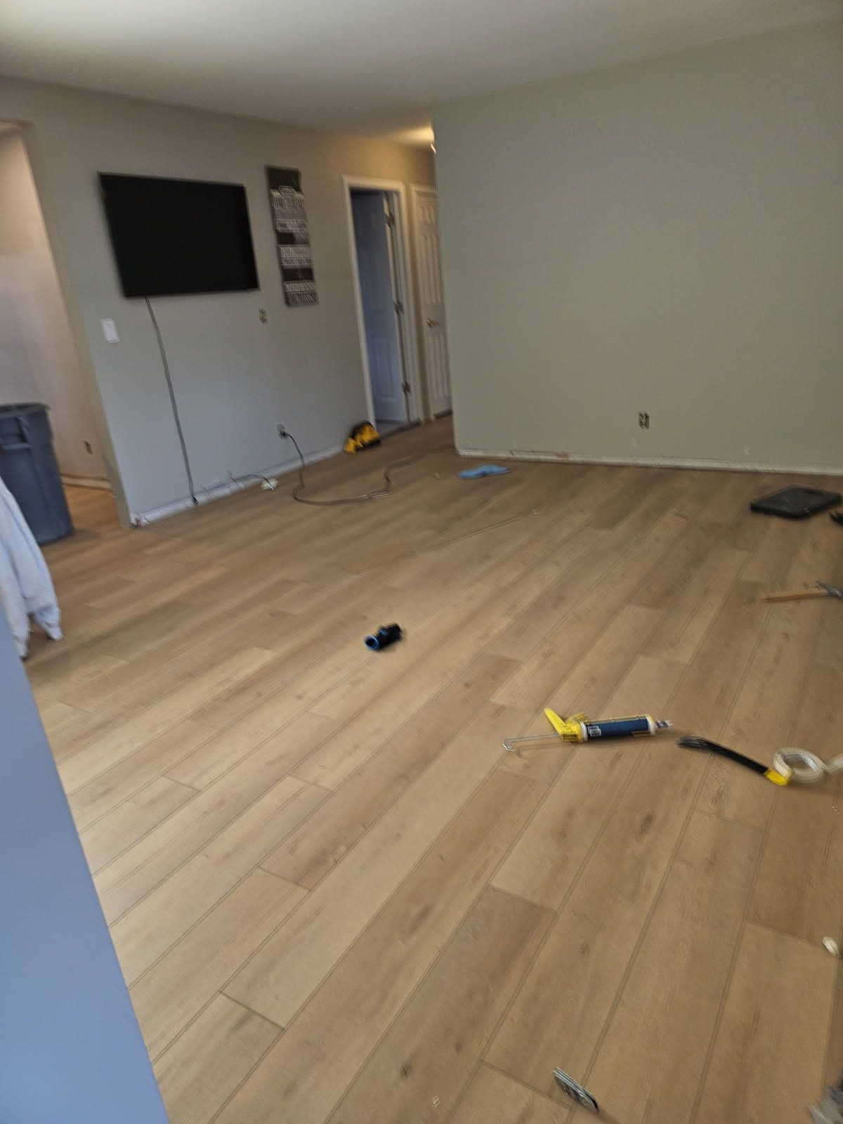 Modern Home Makeover with Light Wood Floors in Aurora